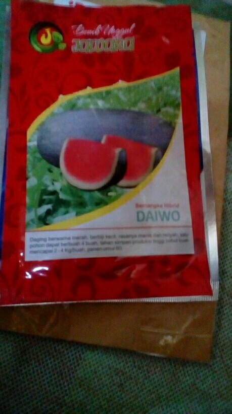 Isi 5 Gram Bibit Semangka Hibrida Daiwo | Benih Semangka | Semangka Inul