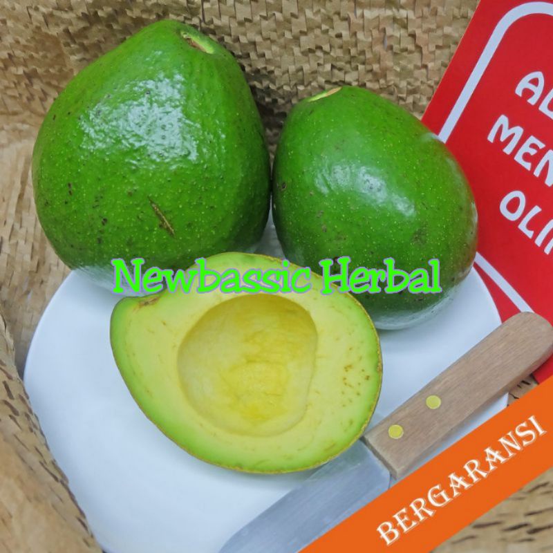 

buah alpukat super paket hemat 1kg