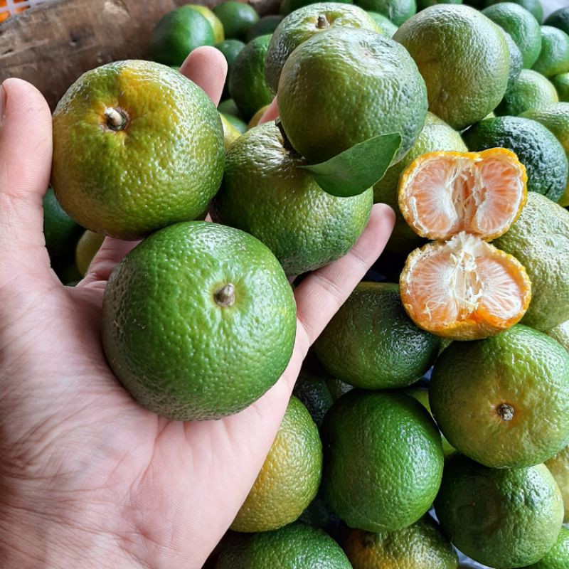 

santang madu hijau manis