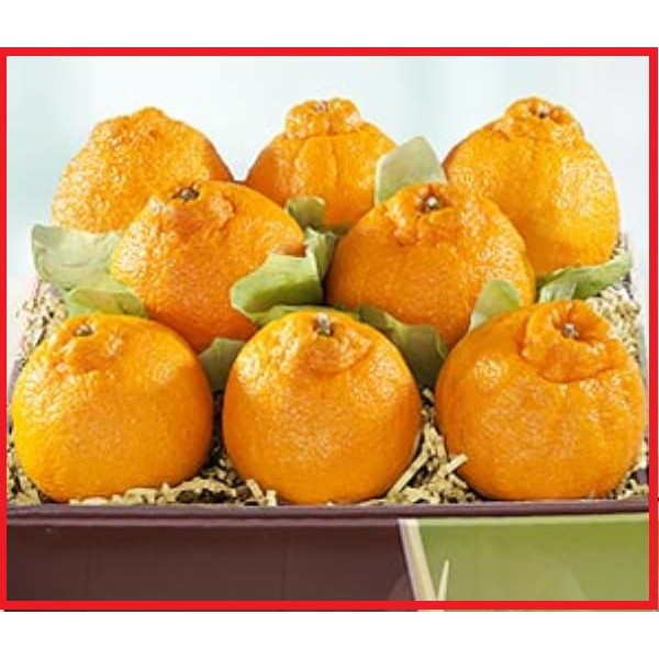 Citrus/ Jeruk Dekopon