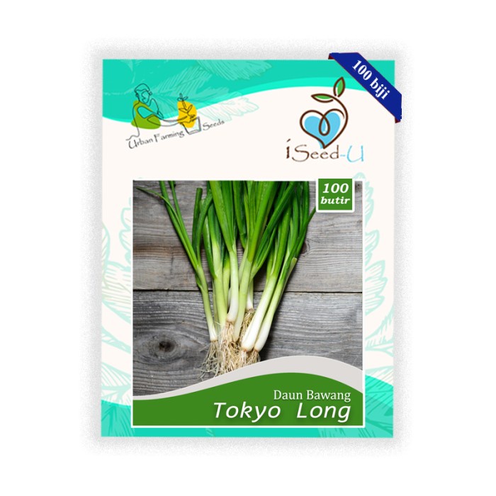 Benih-Bibit Daun Bawang Tokyo Long (iSeed-U)