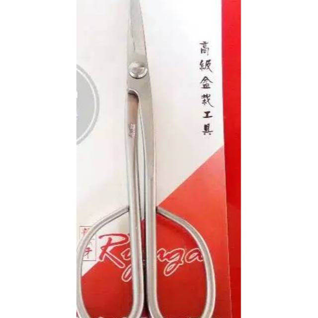 Gunting pruning bonsai ryuga