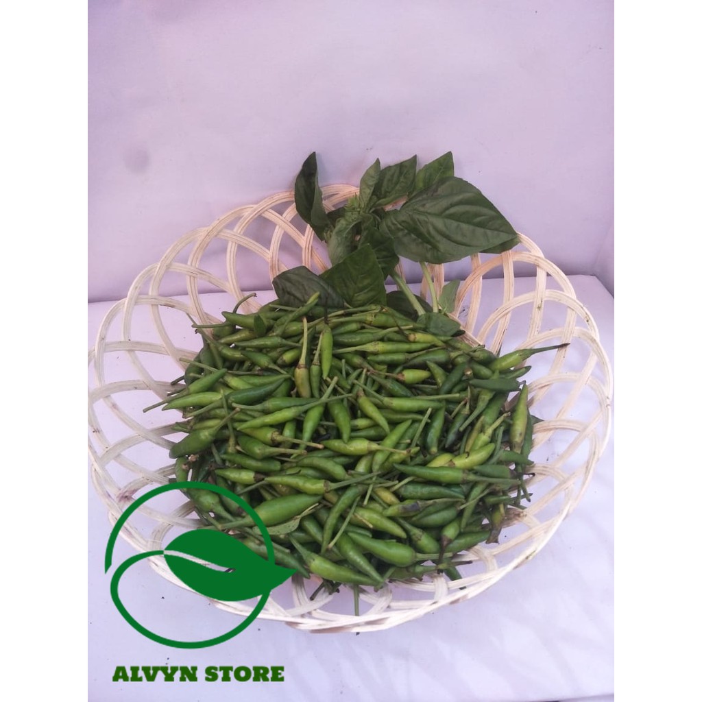 

CABE RAWIT HIJAU