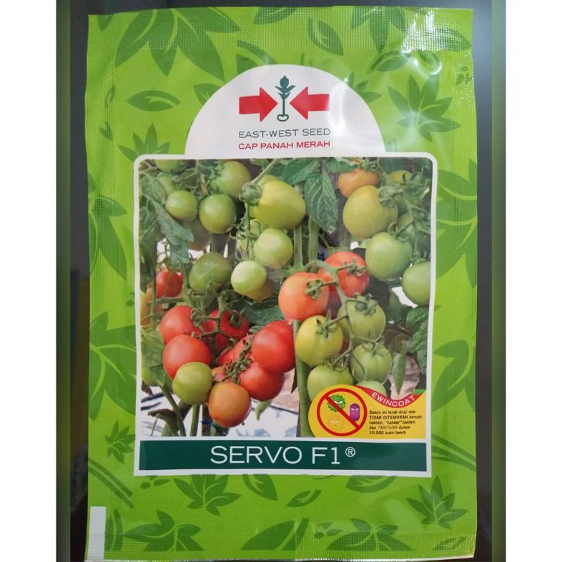 Benih bibit Tomat Hibrida Servo F1 1750 butir
