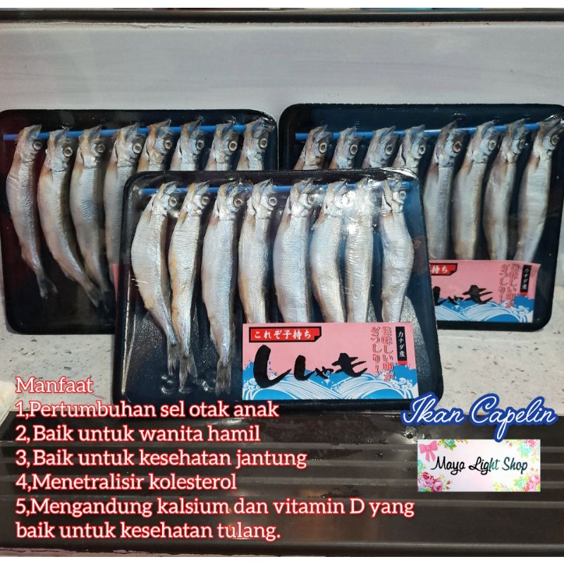 ikan capelin shisamo fish ikan telur halal egg fish roe omega vitamin