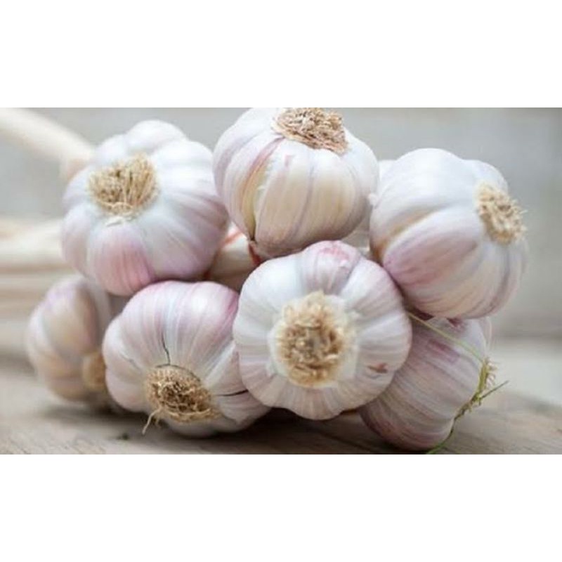 

Bawang Putih Honan Banci utuh