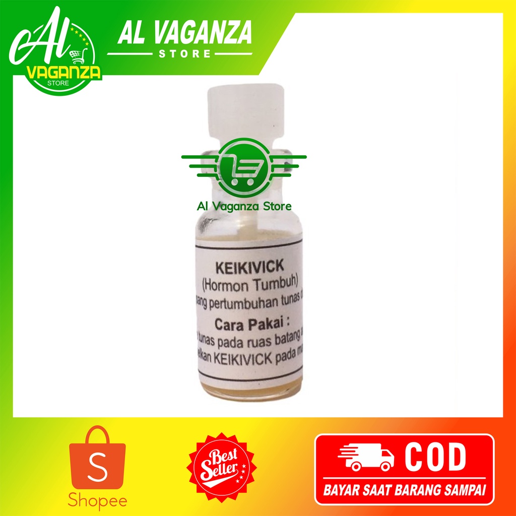 Hormon Pertumbuhan Tunas Anggrek