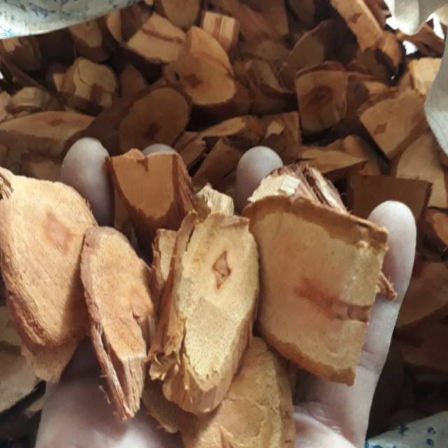 

BAJAKAH MERAH ASLI KALIMANTAN