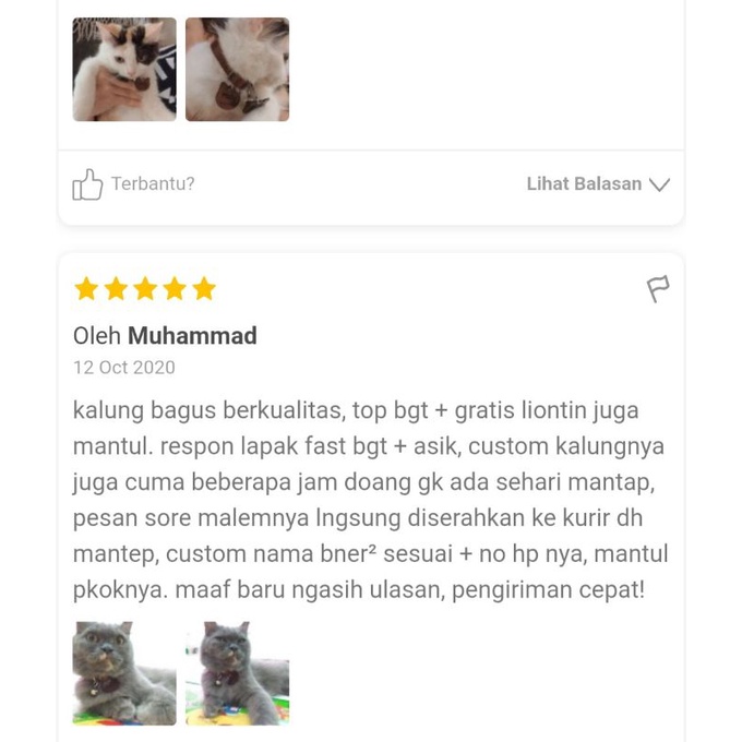 KALUNG KUCING NAMA CUSTOM KULIT  PLUS LONCENG iPet