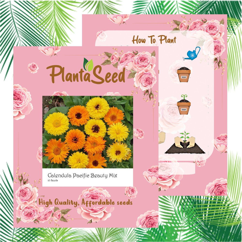 PlantaSeed - 10 Seeds - Calendula Pacific Beauty Biji Bunga - PAS0214