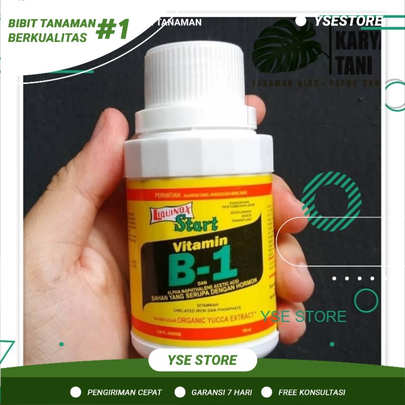 Vitamin B1 untuk tanaman anti stres - Vitamin B1 LIQUINOX ASLI