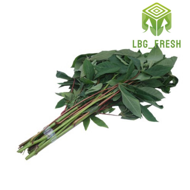 

Daun singkong 500 gr