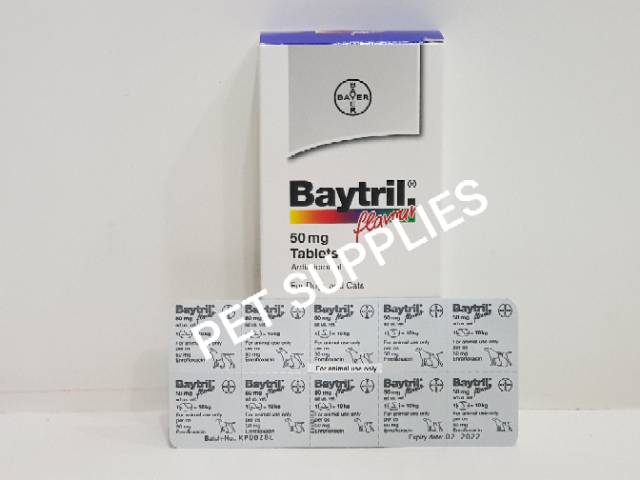 Baytril Flavour 50 mg, antibiotik anjing dan kucing