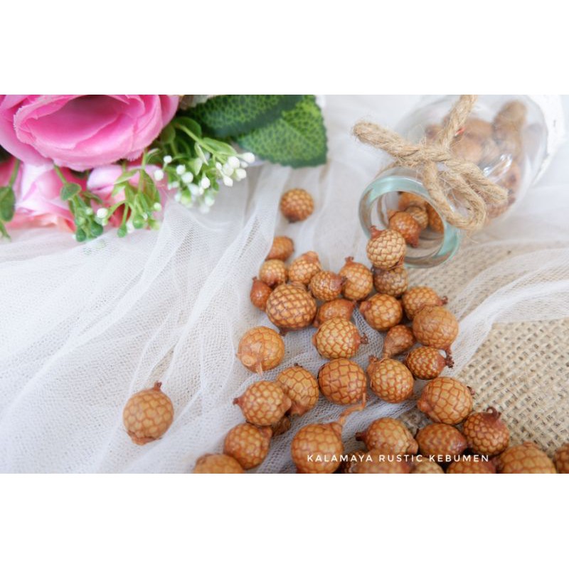 BIJI ROTAN HIASAN DEKORASI RUSTIC PINUS DIY MAHAR BUKET BIJI ROTAN HIASAN DEKORASI RUSTIC PINUS DIY MAHAR BUKET