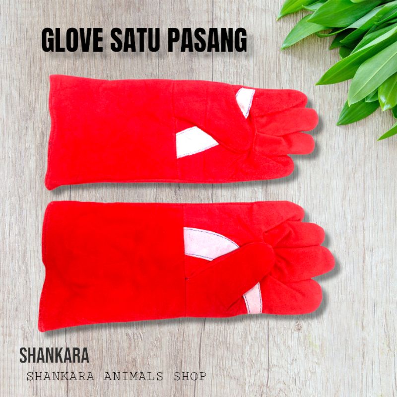 Glove / Sarung tangan burung hantu / elang
