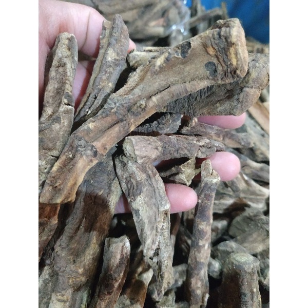 

Klembak kering 1kg