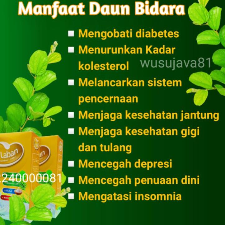 

Promo Terbatas⛄ SUSU KAMBING ETAWA RUQYAH PLUS BIDARA KELOR HERBAL ASLI ORIGINAL EL LABAN BUBUK MURNI TANPA GULA AREN JAGUNG ALMOND PLATINUM COKLAT VANILA PLAIN SACHET PENINGGI PENGGEMUK MENAMBAH BERAT BADAN DIET ANAK ANAK TUA KALSIUM TULANG SENDI NAFAS P