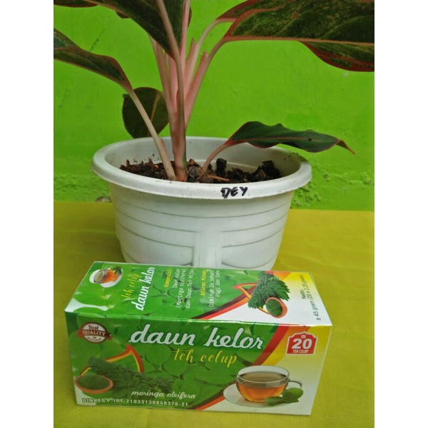 

Teh Celup Herbal Daun Kelor Premium