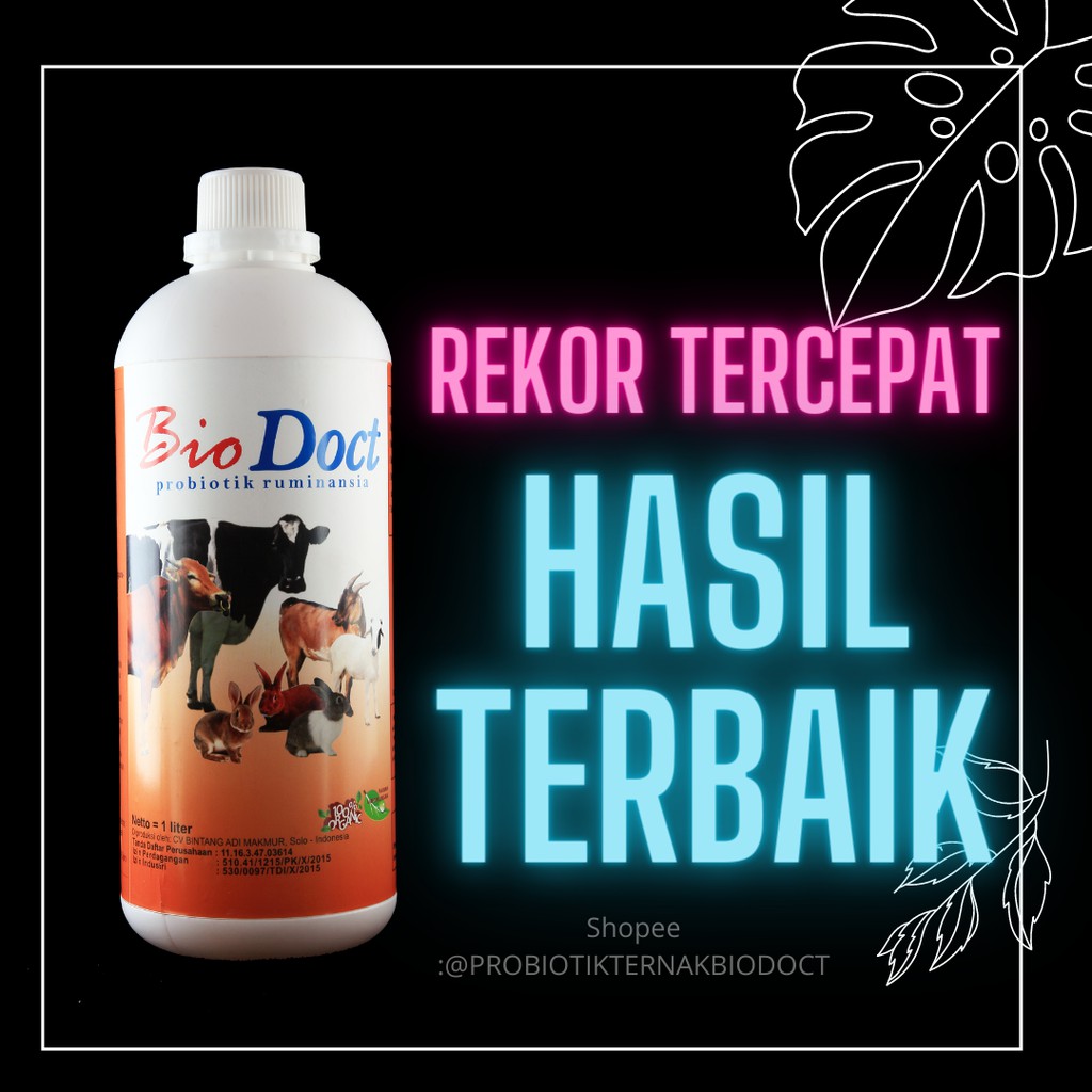 Penggemuk Sapi Cepat, Penggemuk Sapi Jantan, Penggemuk Sapi Tradisional, Penggemuk Sapi Nasa