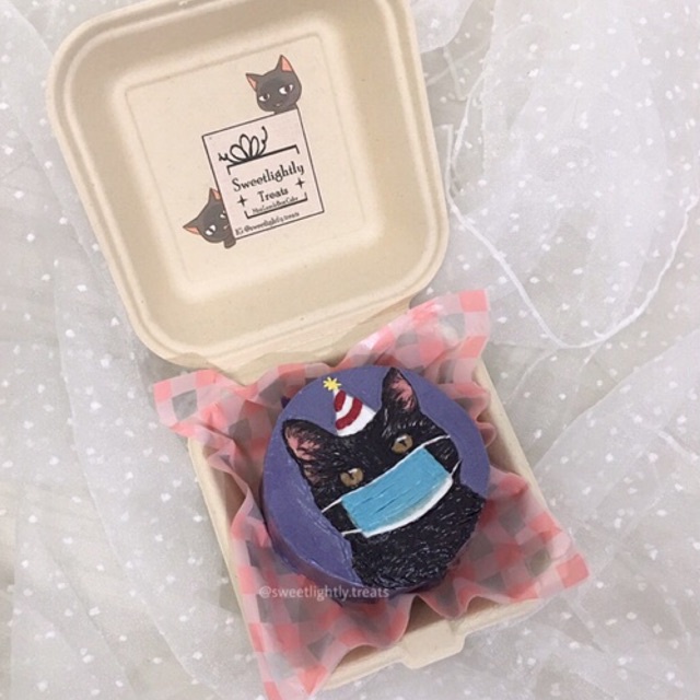 

lunch box cake | Mini cake | Korean lunch box cake | custom cake | painting cake | cute cake | cat