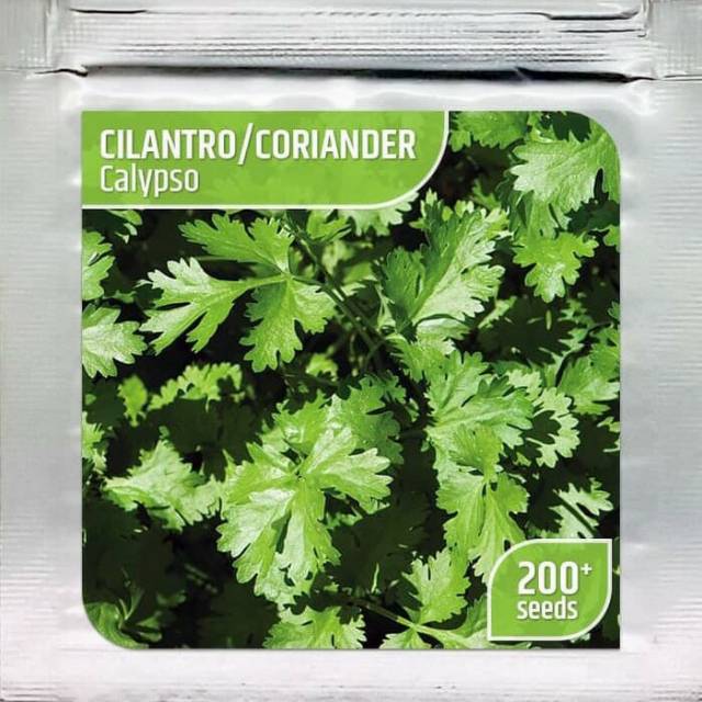Benih - Bibit - Biji - CALYPSO Coriander Cilantro Sayur Daun Ketumbar