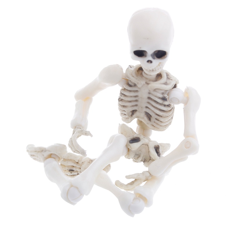 Mary Movable Mr. Bones Skeleton Model Manusia Tengkorak Full Body Mini Figure Mainan Halloween