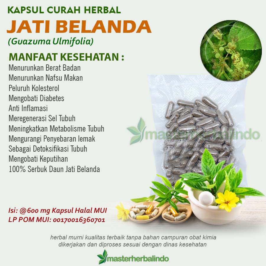 JATI BELANDA 100 Kapsul Curah Herbal Pelangsing Keputihan Detoks Diare