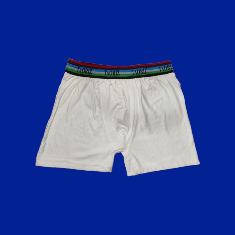 Celana dalam pria boxer art 005