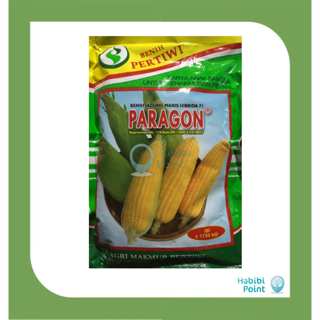 JAGUNG PARAGON (250 GRAM) - Benih Jagung Manis PARAGON isi 1750 biji