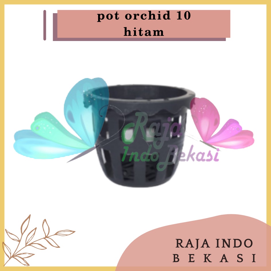 Pot Anggrek Orchid 10cm Pot Anggrek Plastik Orchid 10 Cm Murah / Pot Anggrek Sabut Kelapa Bulan Kayu