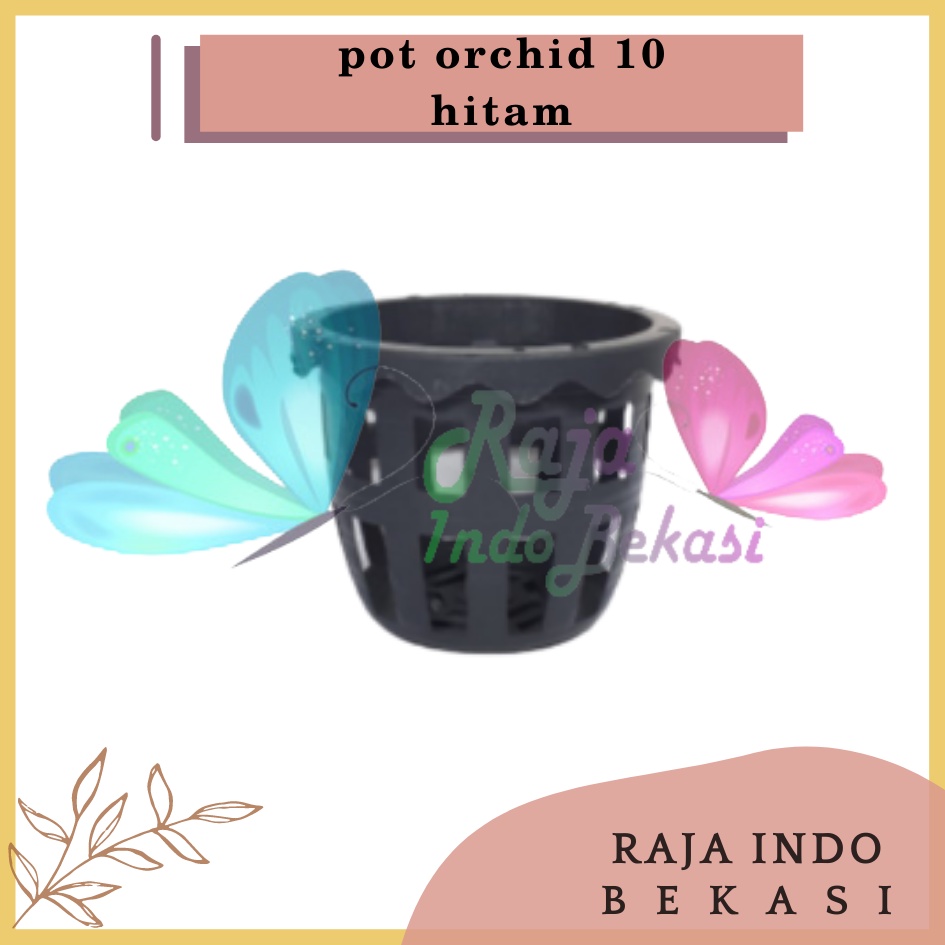 Pot Bunga Anggrek / Pot Anggrek Orchid 10cm | Jual Pot Plastik Orchid 10 Cm Grosir Murah