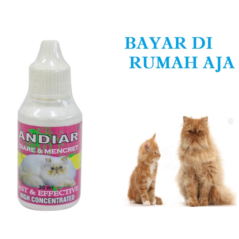 OBAT MENCRET KUCING SAKIT DIARE AMPUH ANDIAR