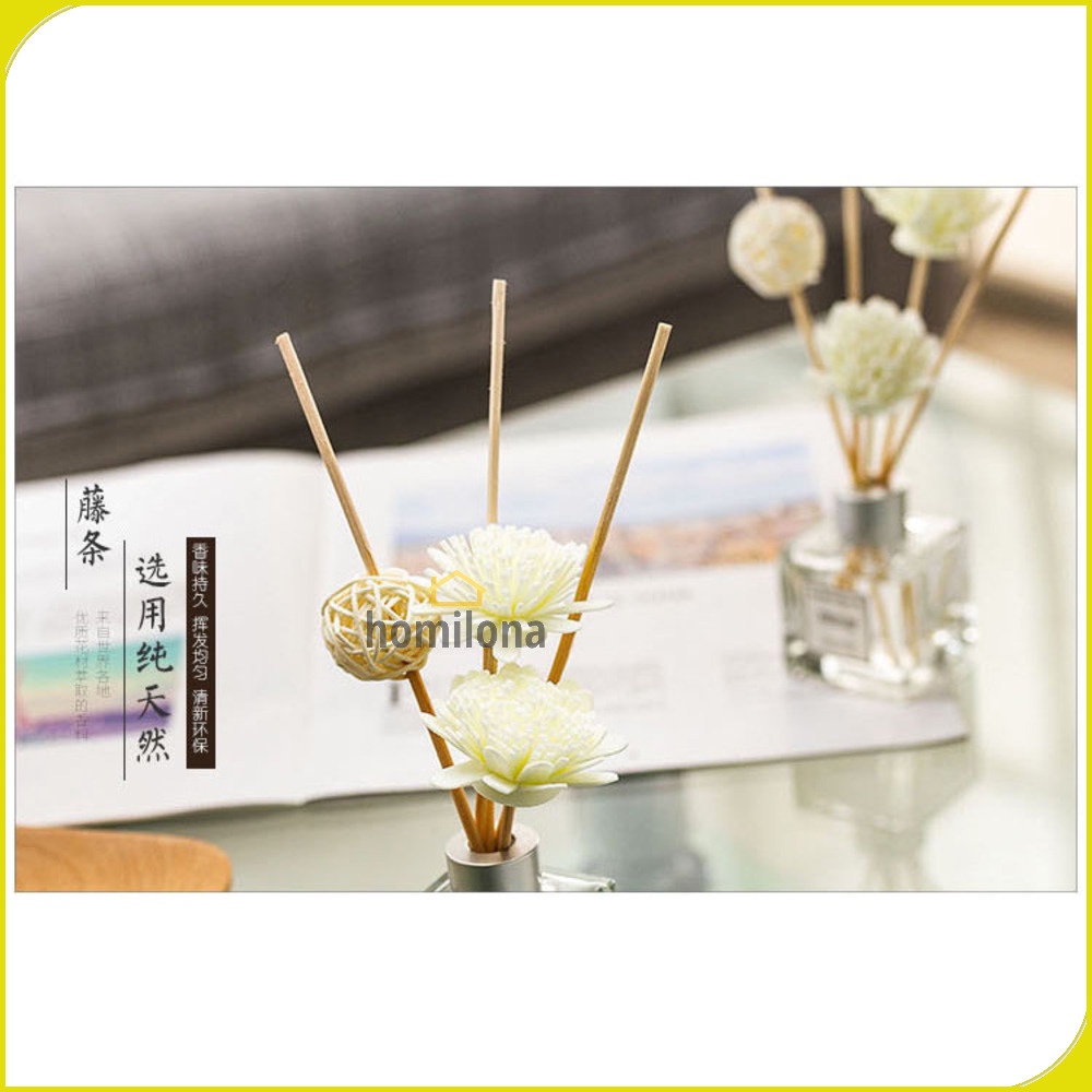 Parfum Ruangan Aroma Diffuser Reed Rattan Sticks 50ml - Taffware HUMI DF-100