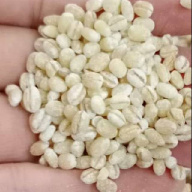 

Jali RRC / barley rrc 500 gr