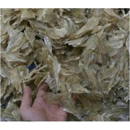 

Ikan Pakang Tanjung Balai ( 250 Gram )