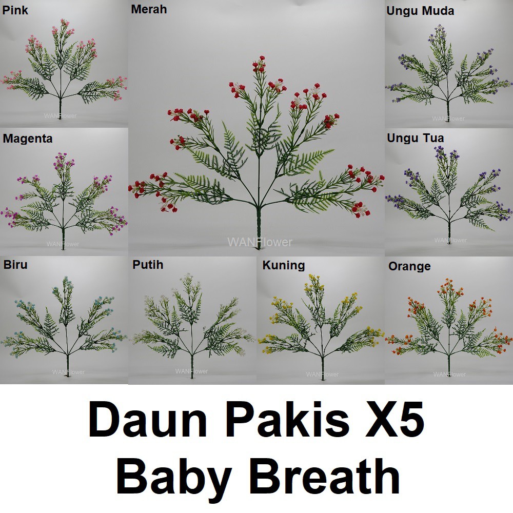 WANFLOWER Daun Pakis BabyBreath X5 * ALL