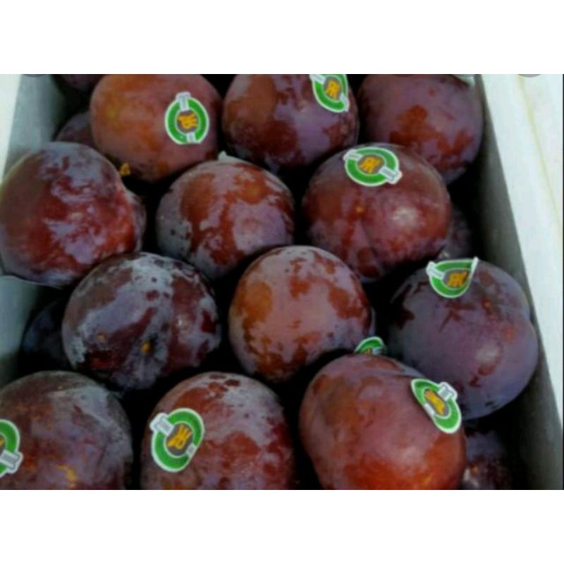 

Buah plum murah