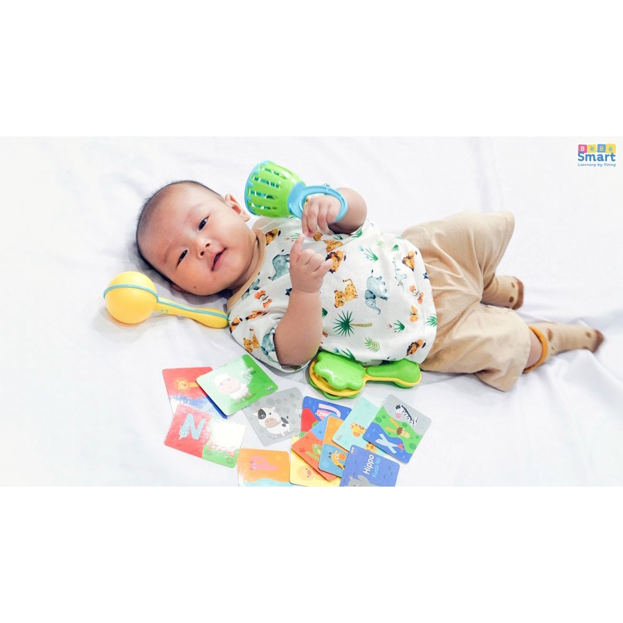 MAI578 BEBE SMART MAINAN RATTLE BABY RATTLES &amp; FLASH CARD SET