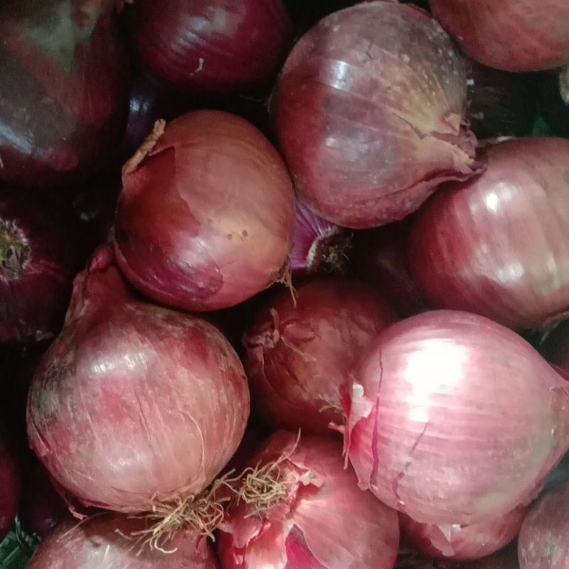 

Bombay merah 1kg