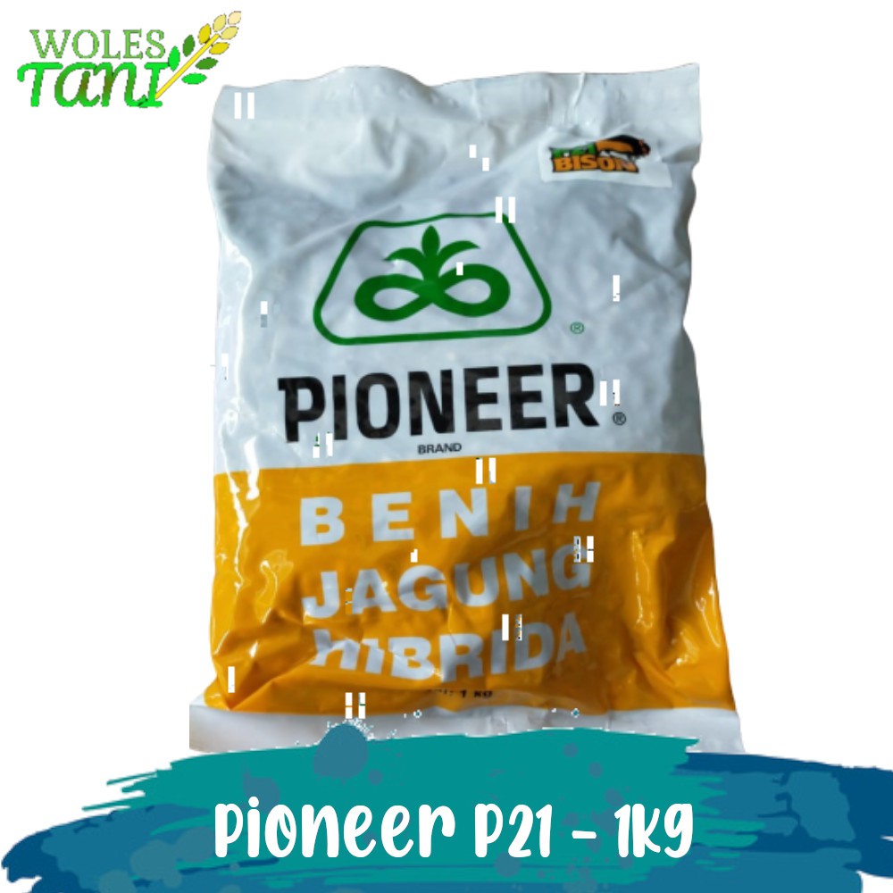 Pioneer P21 1 Kg Benih Jagung Hibrida