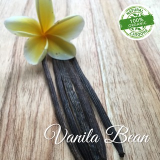 VANILLA BEAN - 10gr / Vanilla / Vanilli / Biji Vanilla