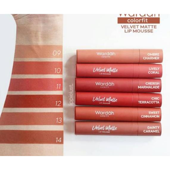 Bagus WARDAH COLORFIT VELVET MATTE LIP MOUSSE 4 Gr ( ready no 9.10.11.12.13.14 ) yoe. ..