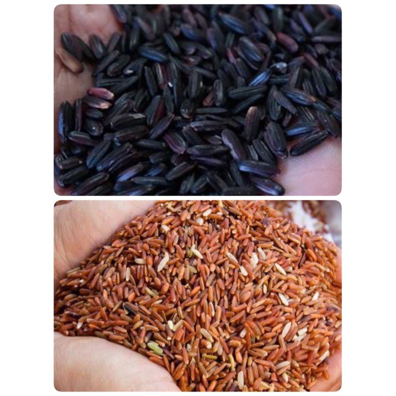 

Beras Merah dan Hitam Kampung Kualitas Premium 500Gram