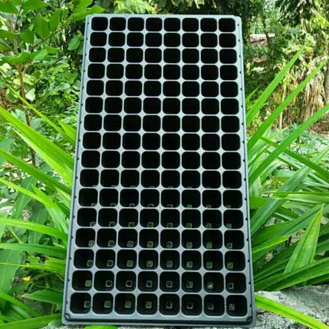 Tray semai 128 lubang