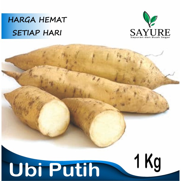 

UBI PUTIH BERKUALITAS 1 KG