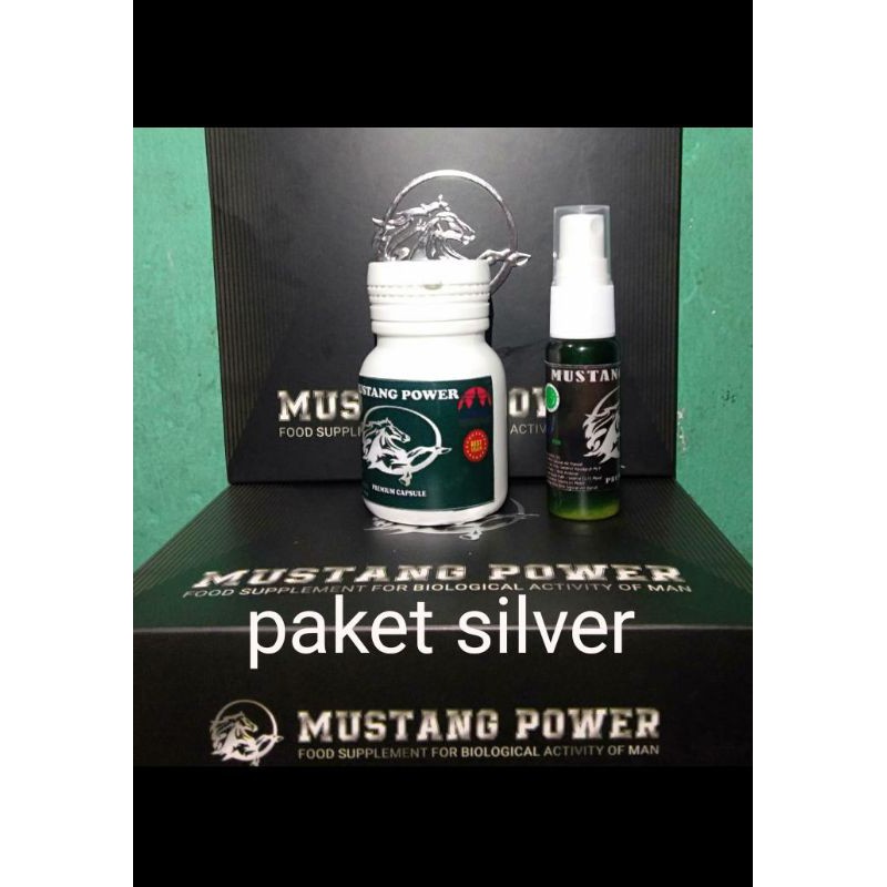 mustang power (paket silver)