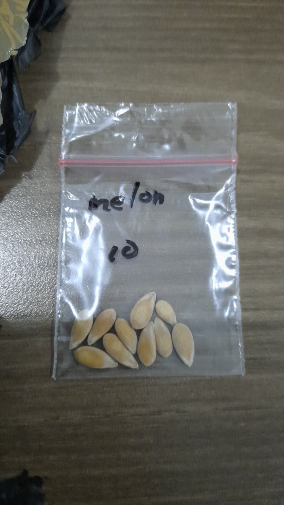 (iso 10 Biji) Benih Melon Oren - Rock Melon