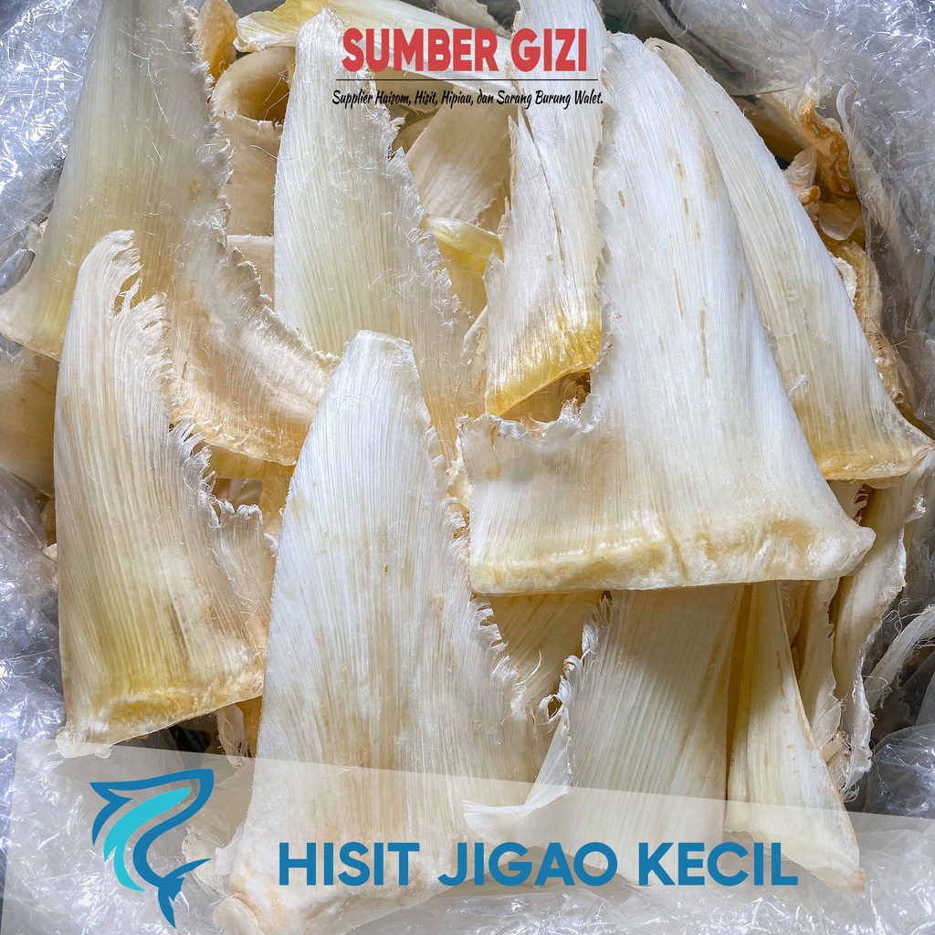 

HISIT KERING SIRIP IKAN HIU JIGAO KECIL HUCHI HU CHI HECHI SIRIP HIU 1KG