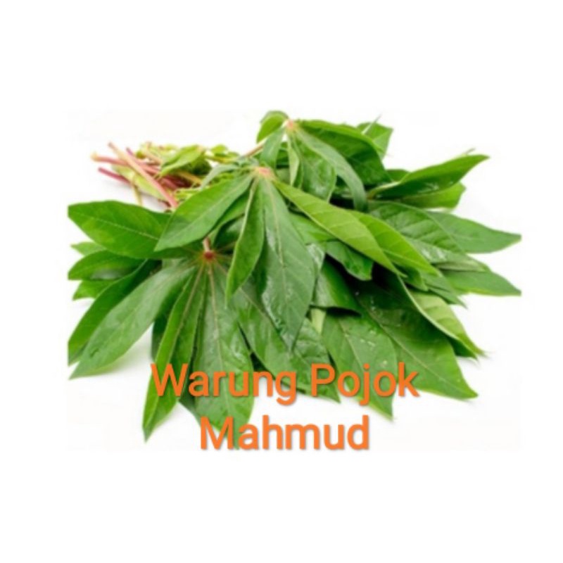 

Daun singkong per ikat