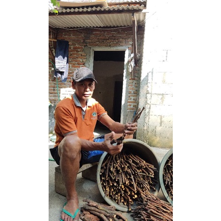 cutting anggur lokal siap grafting dan tanam 1 paket isi 25-30 batang  ukuran spidol warna